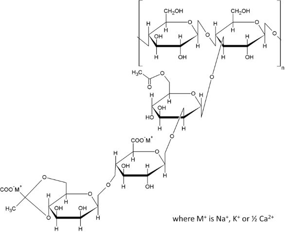 Ph?gia thực phẩm E415 - Xanthan Gum